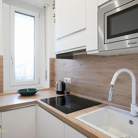 Lingotto Luminoso Trilocale Con Vista *